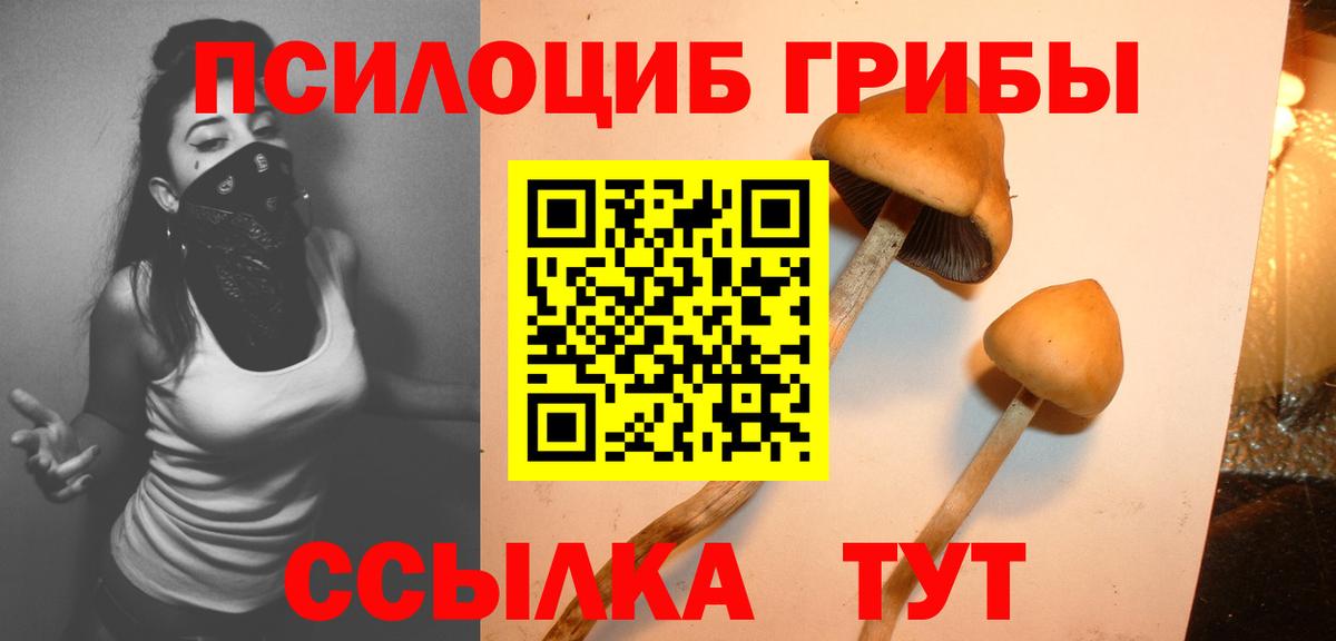 Галлюциногенные грибы Cubensis  Вход с VPN  Курганинск 